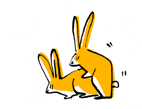 lapins.jpg